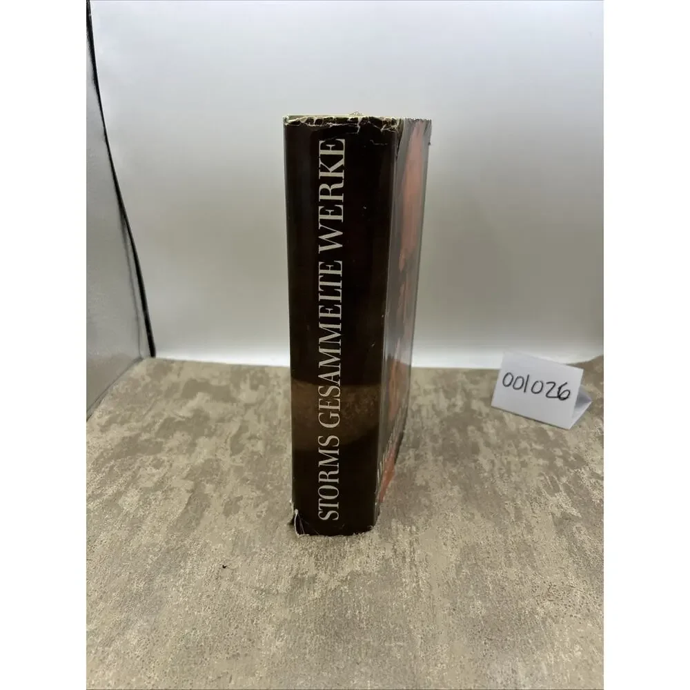 Am Grauen Meer: Gesammelte Werke by Theodor Storm - hardback